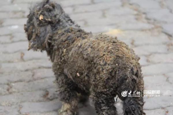 突發(fā)！青島一居民樓發(fā)生爆燃！已造1人死亡，7人受傷！3公里外有震感…